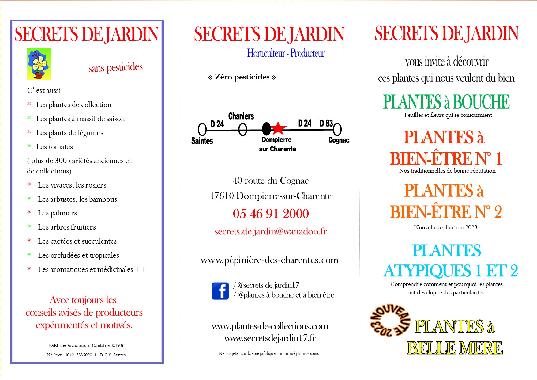 Plantes  bouche - Plantes  bien-tre - Plants de lgume et aromatique Saintes - Cognac